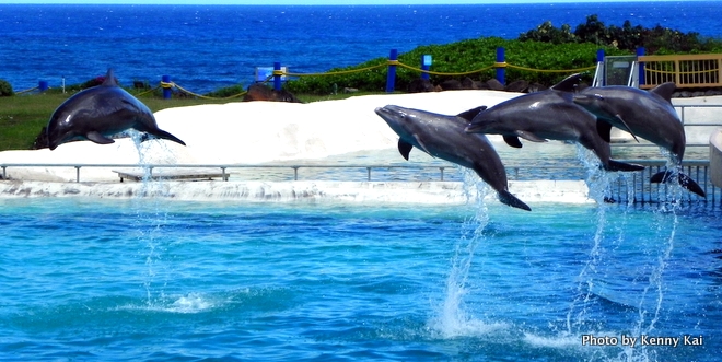 シーライフパーク