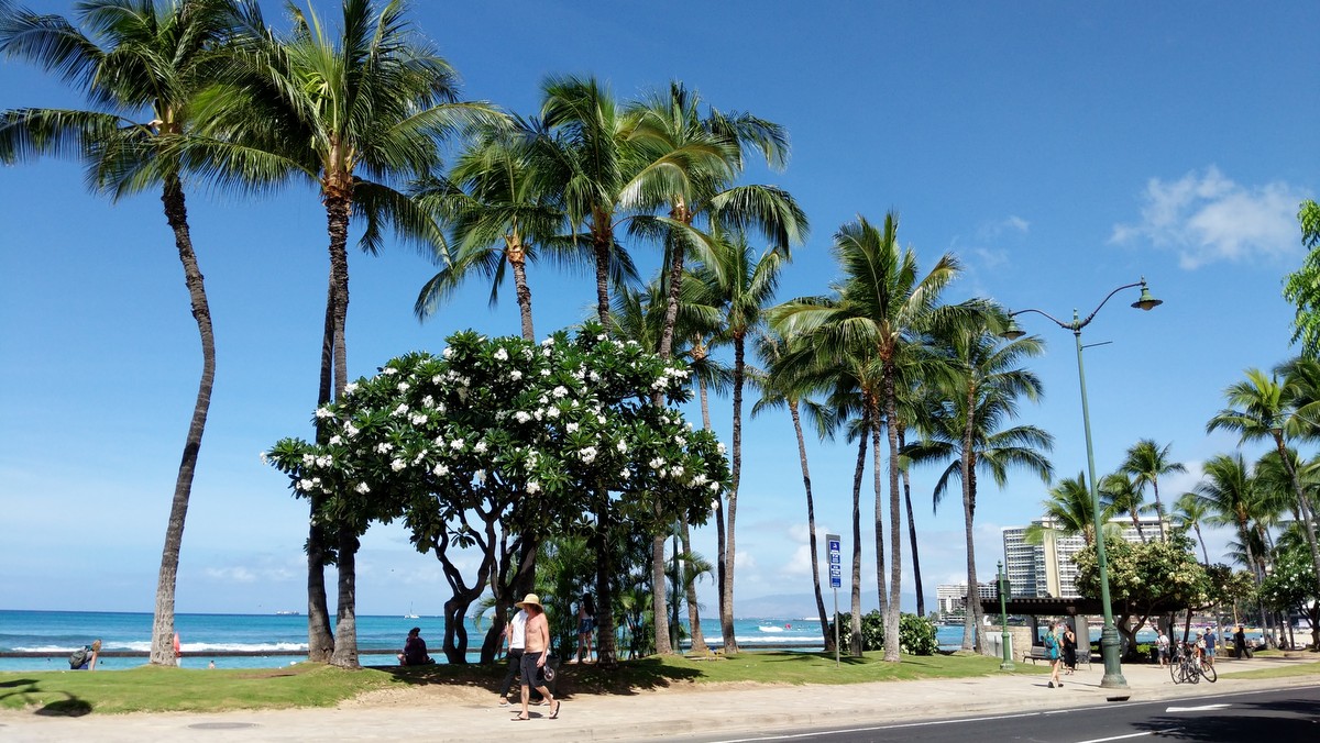 オアフ島、さらに4週間、回復の枠組み Tier3 を維持