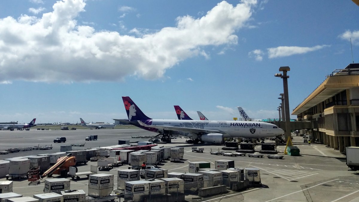 ハワイアン航空、ネイバー便20％割引導入