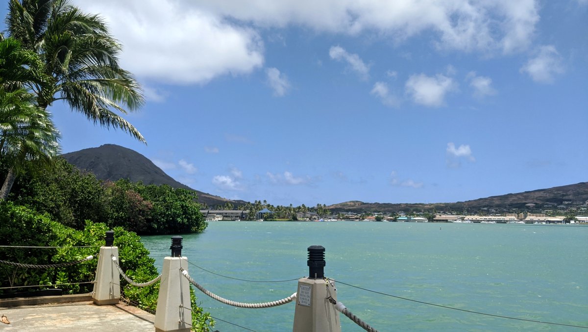 6月16日コロナウイルス関連ニュースまとめ