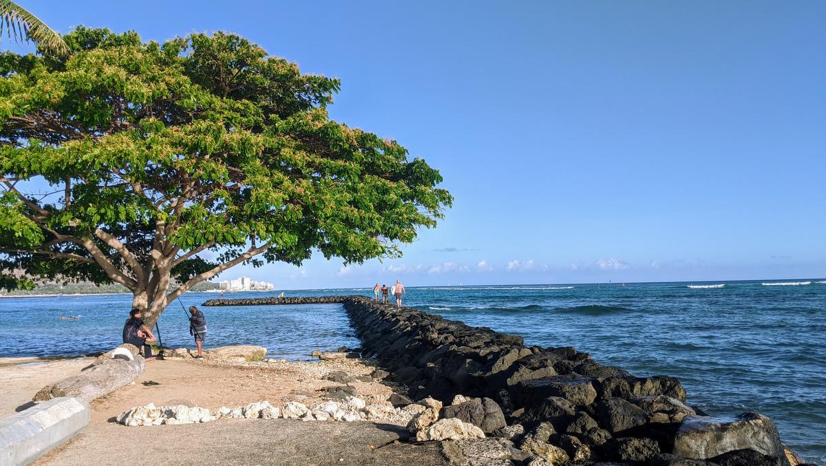 ホノルル市長、一部ビジネスを再度閉鎖する可能性を示唆