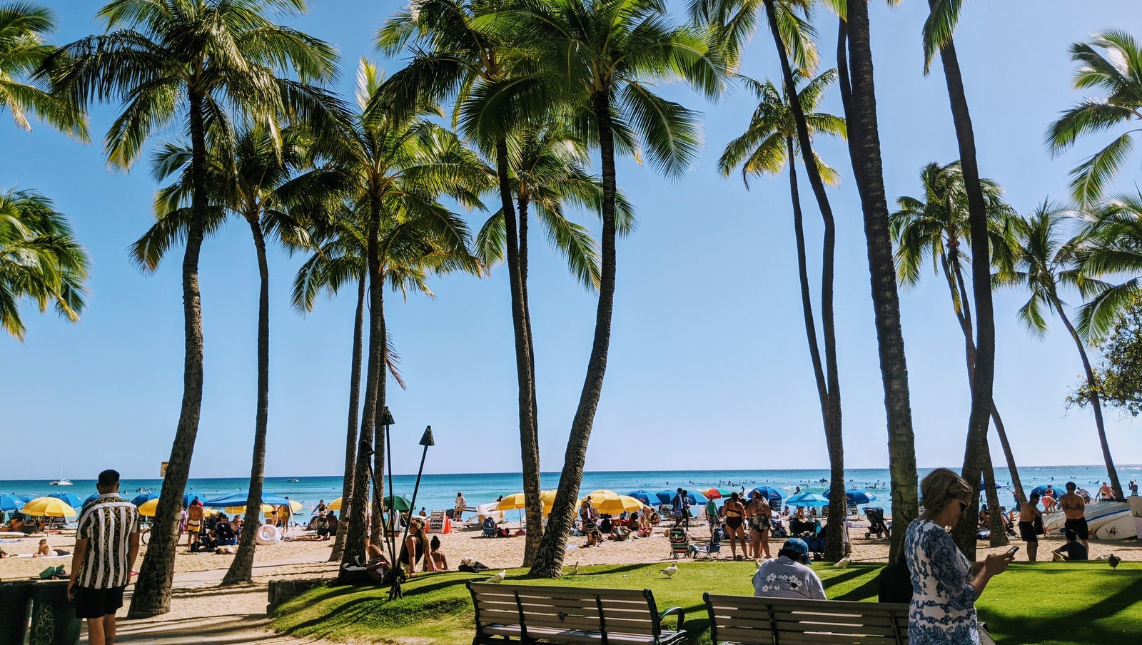 イゲ知事、デルタ株拡大で人の集まりに関する制限の再実施を検討中