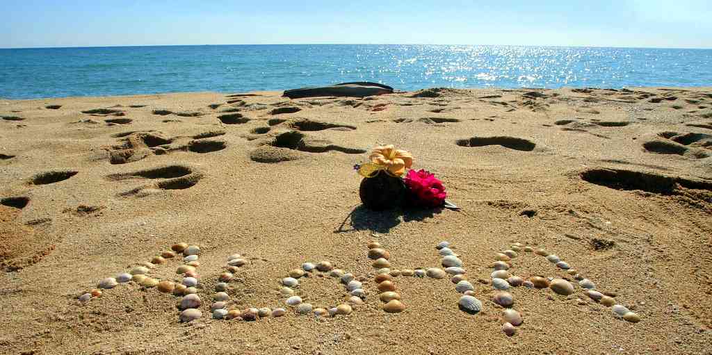 アメリカ本土のレストランAloha Poke Coがハワイ文化をおびやかす