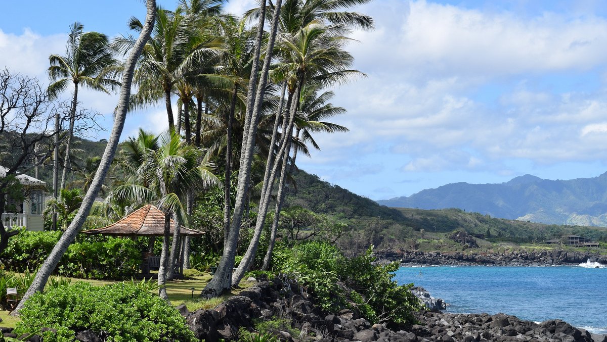 ハワイ島のビーチパーク、2週間閉鎖へ