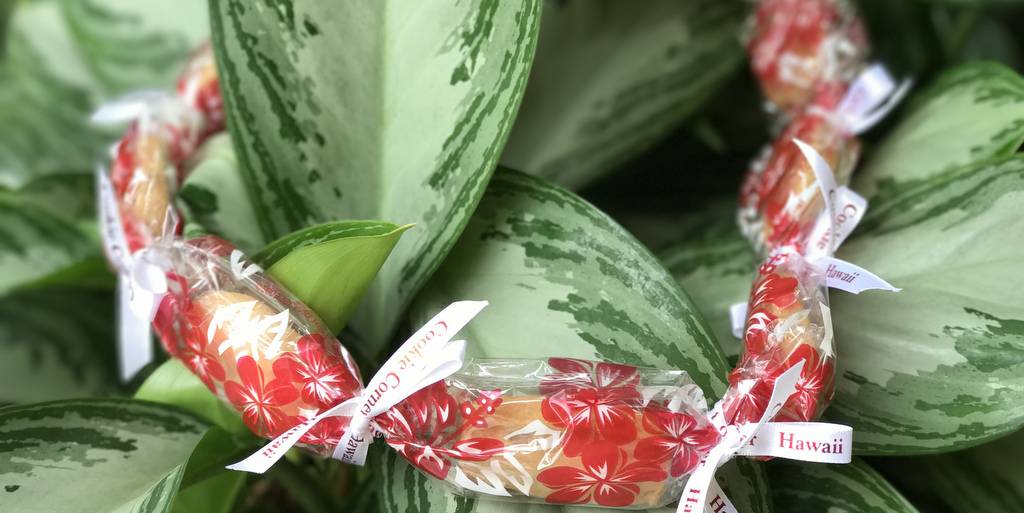 ザ・クッキーコーナーのクッキーレイ、好評発売中ですよ〜！