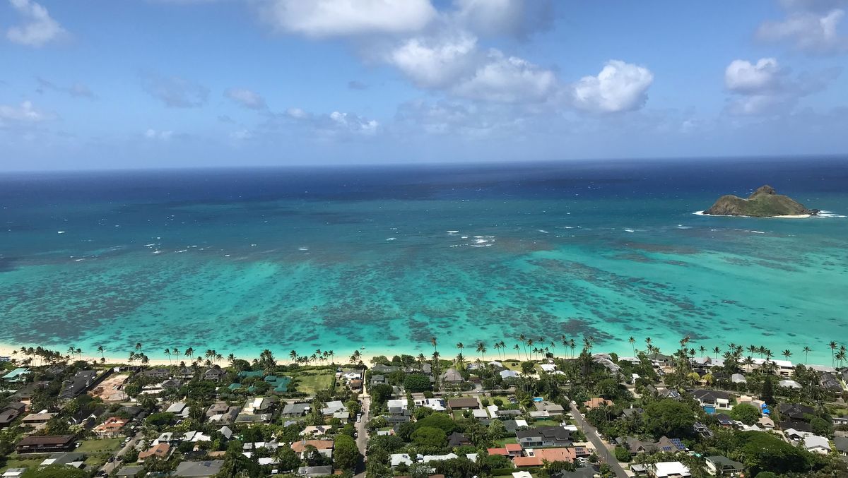 5月29日コロナウイルス関連ニュースまとめ