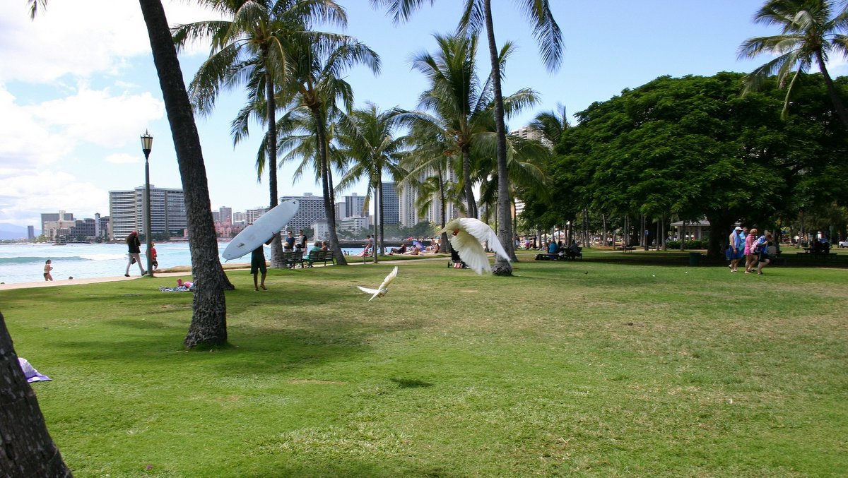 コールドウェル市長、オアフ島の新たな「回復の枠組み」を発表