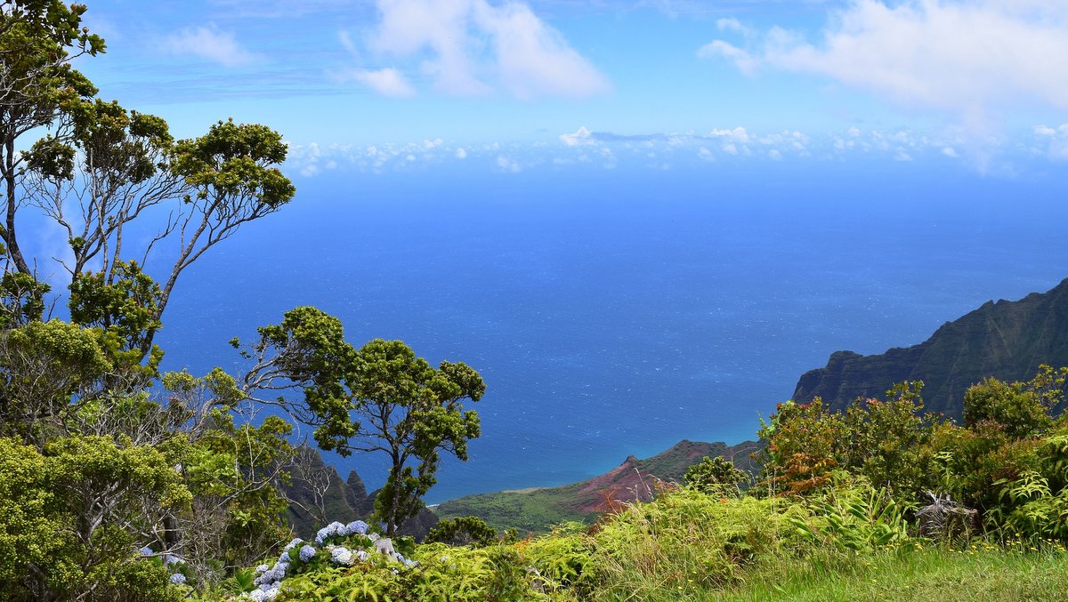 イゲ知事、カウアイ島の渡航前検査プログラム一時脱退を承認
