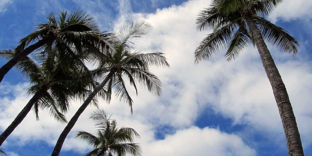 EXILE / EXILE THE SECOND 黒木啓司さん×『エル』によるスペシャルトークショー 開催