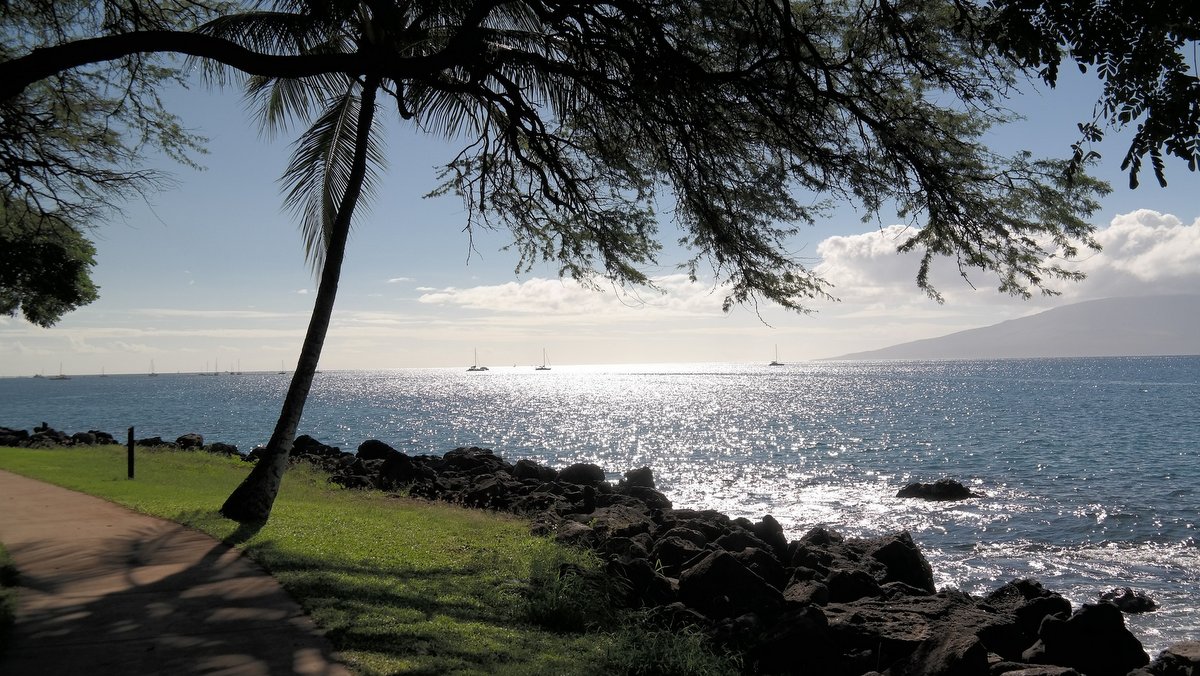 イゲ知事、陰性のマウイ島渡航者への隔離免除を承認